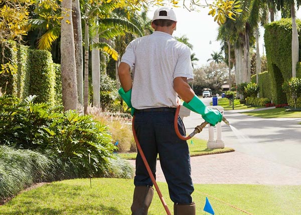 About South Fallsburg NY Pest Control